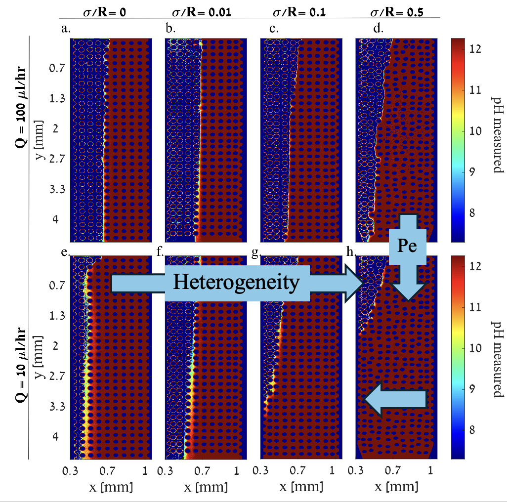 pH maps during a reactive transport experiment