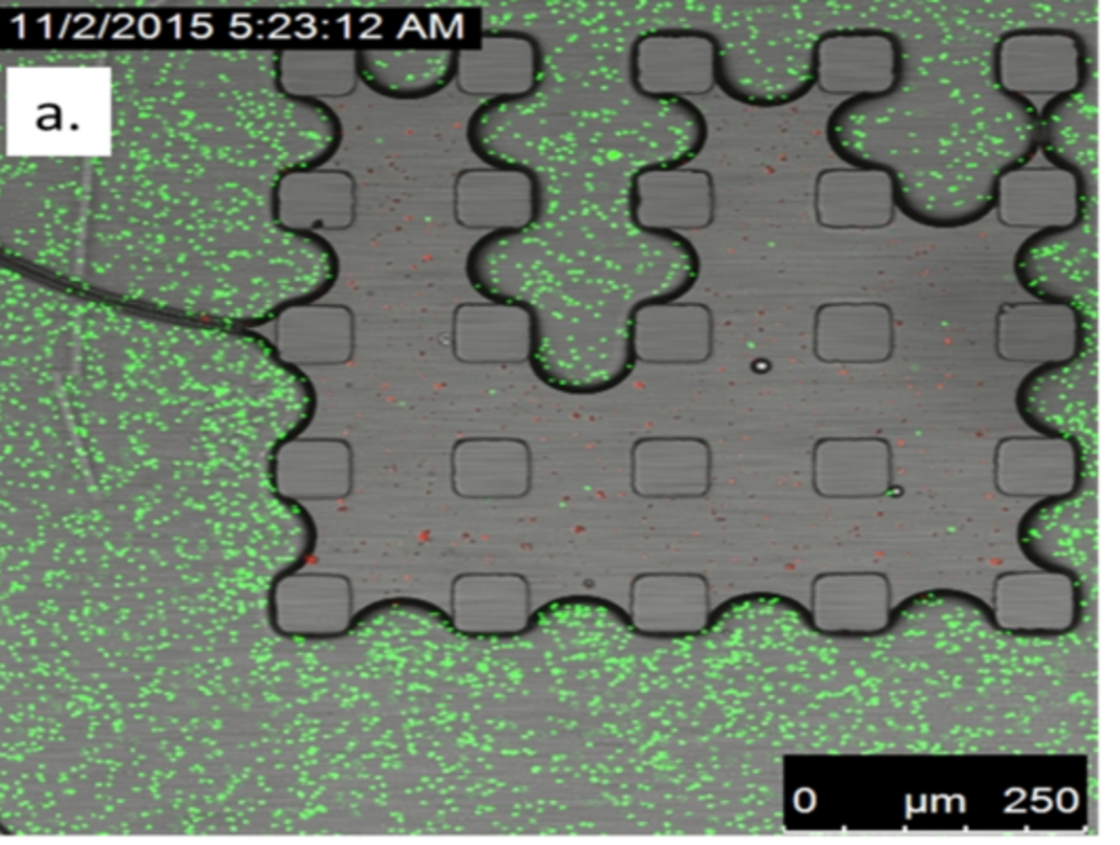 Fluid displacement pattern in a porous medium
