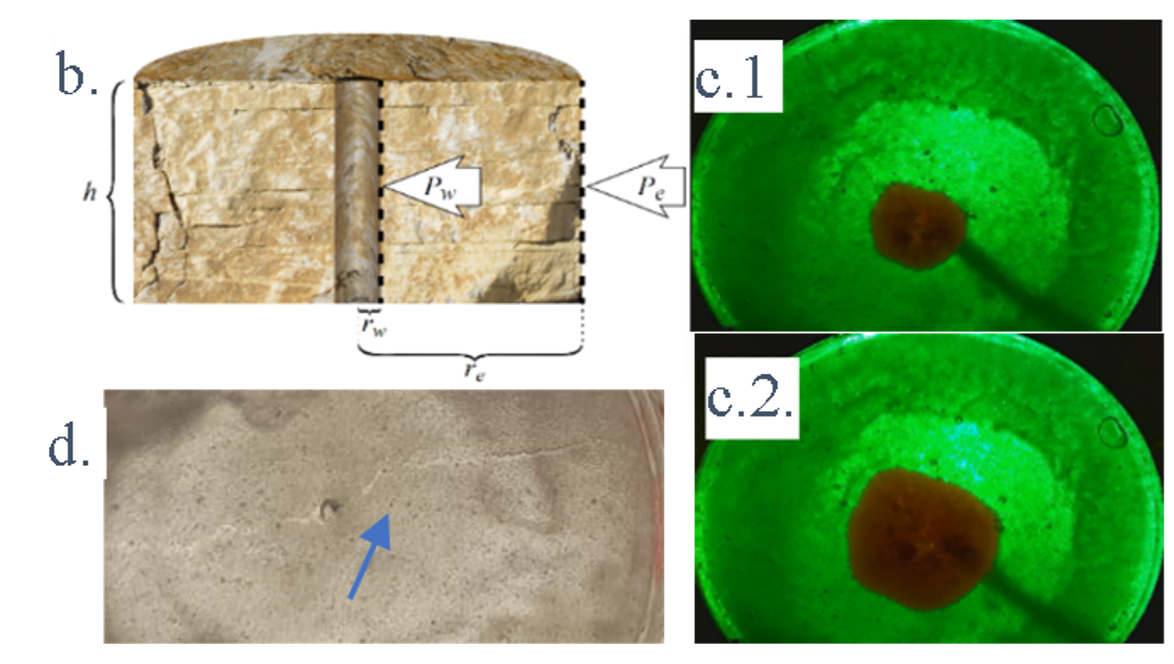 Fracture in an artificial transparent rock